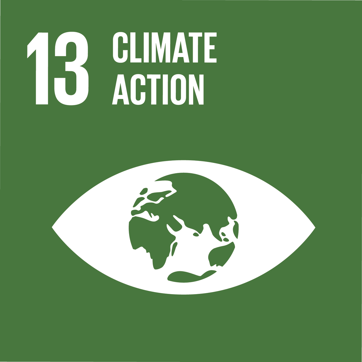 SDG 8